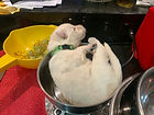 IMG_5378.jpg